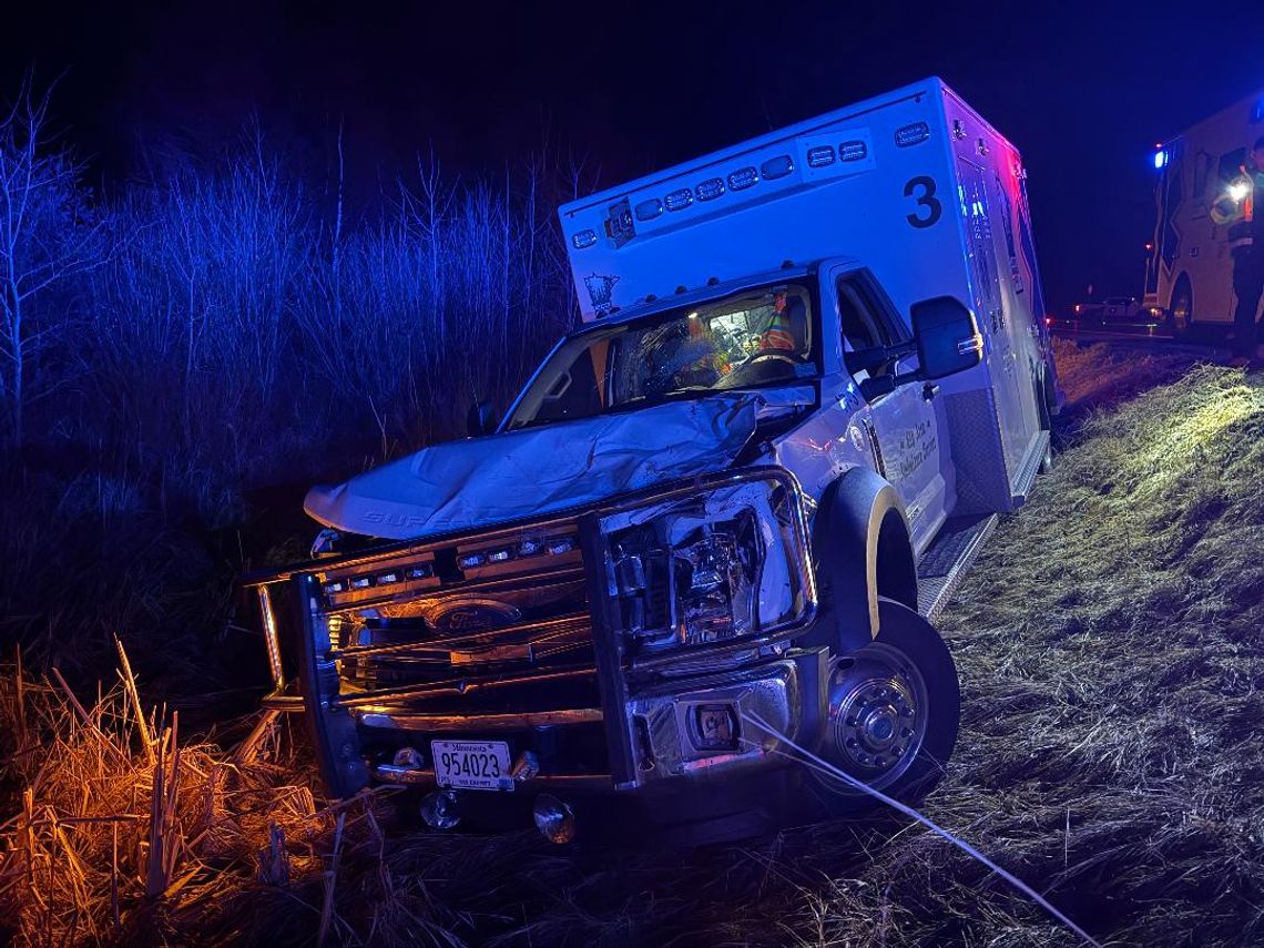 Ambulance, moose collide