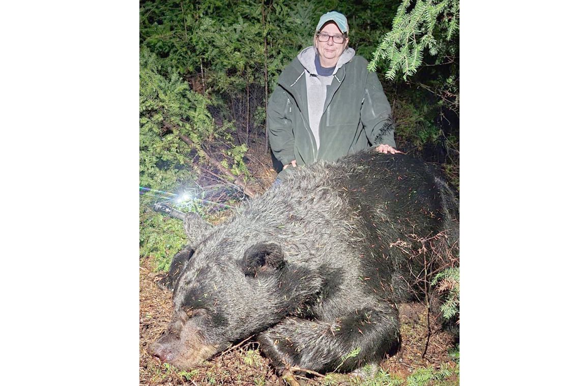 Bear shot near Babbitt tips scale at 559 pounds