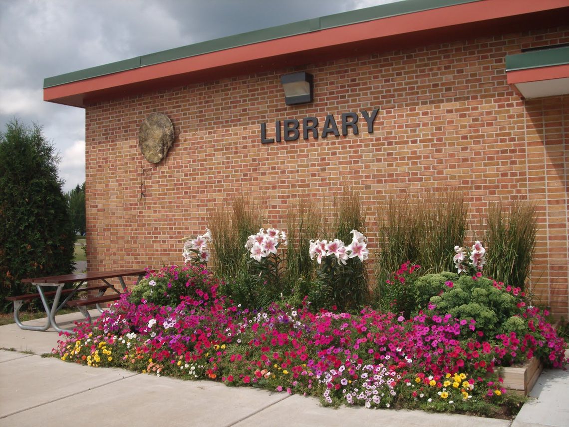 Babbitt council will look for $10,000 so library can purchase books