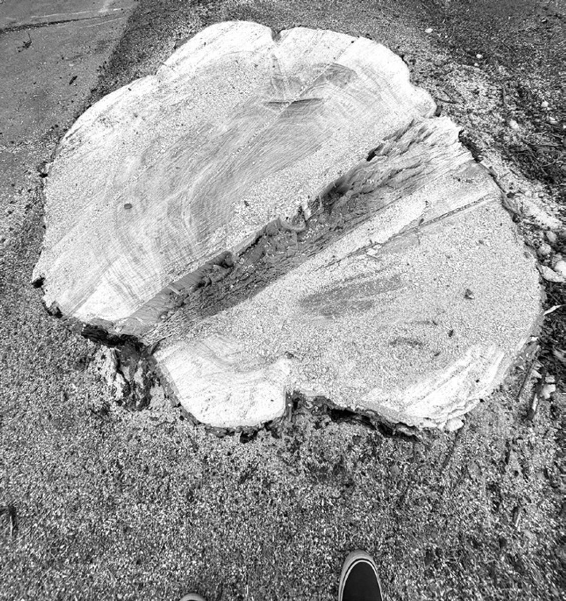 Ely Street Poet