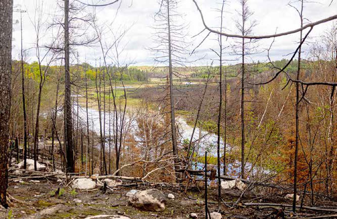 Forest Service on how July lightning fires fit into area’s history of wildfire Forest Service on how July lightning fires fit into area’s history of wildfire
