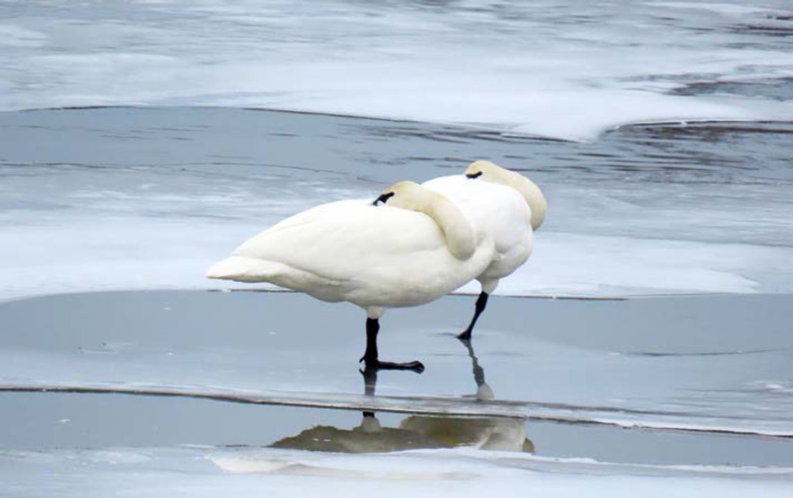 FROM ELY TO ELY AT THE WORLD’S LARGEST PADDLESPORTS EXPO FROM ELY TO ELY AT THE WORLD’S LARGEST PADDLESPORTS EXPO