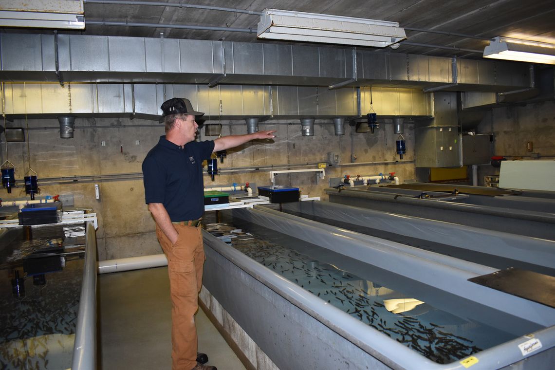 Get Out MORE funding includes fixes at hatcheries, streams