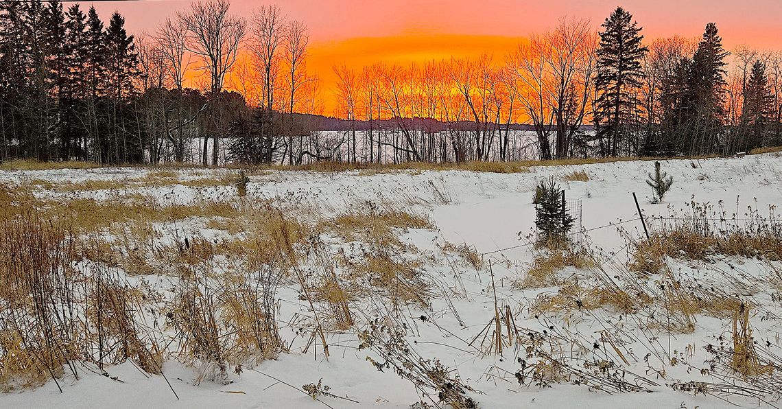 Life Histories – Another Year