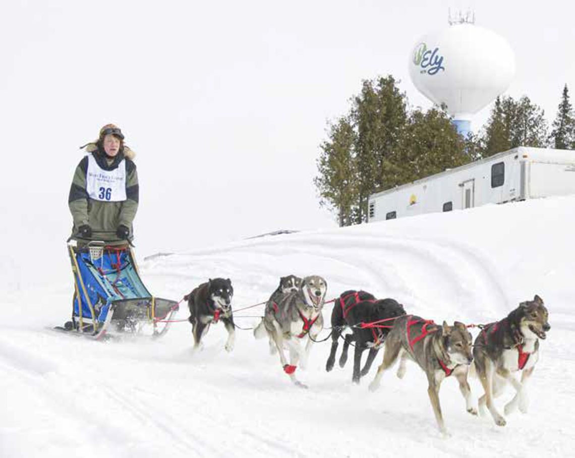 New champs at WolfTrack