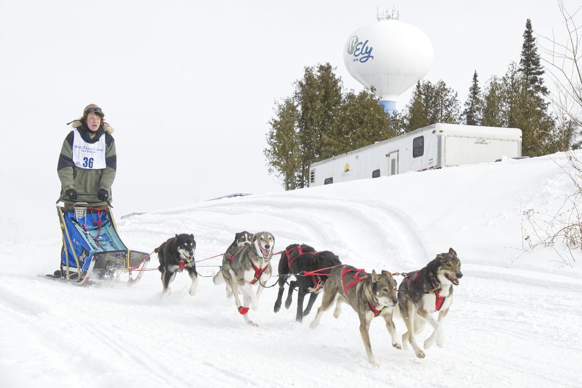 New champs at WolfTrack