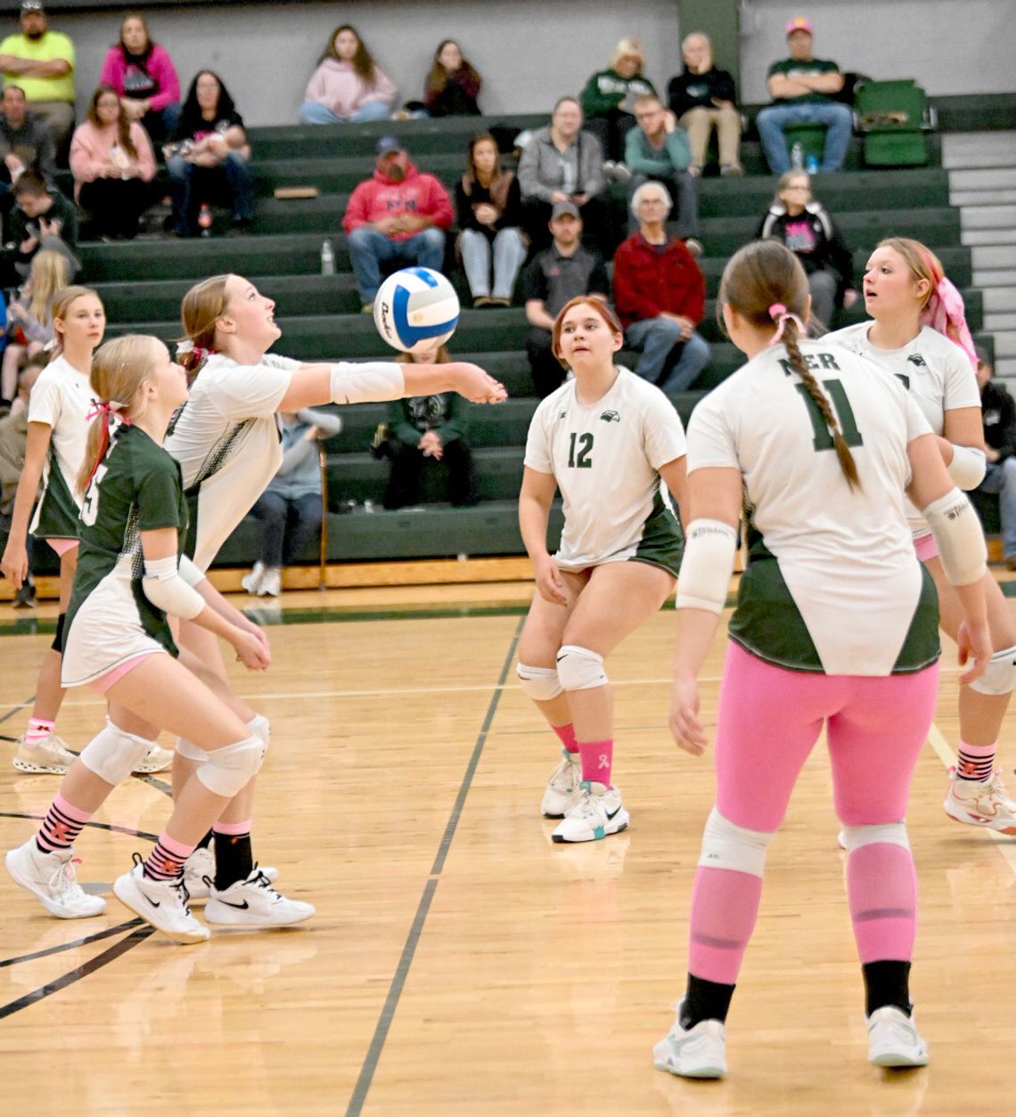 Nighthawks fall to Cherry Nighthawks fall to Cherry