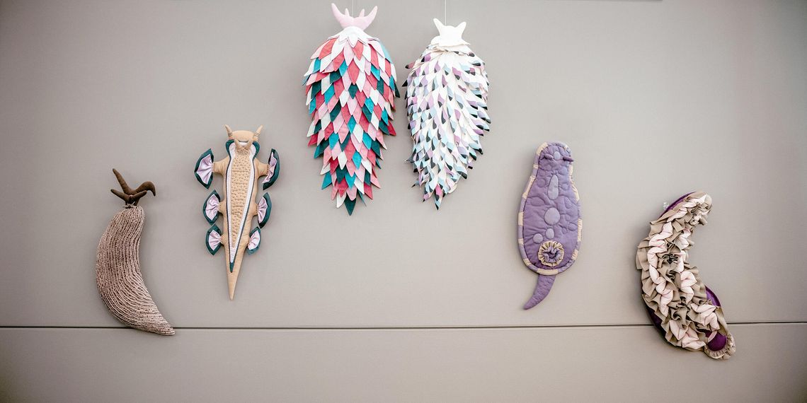 Nudibranch Art Show opens in Ely