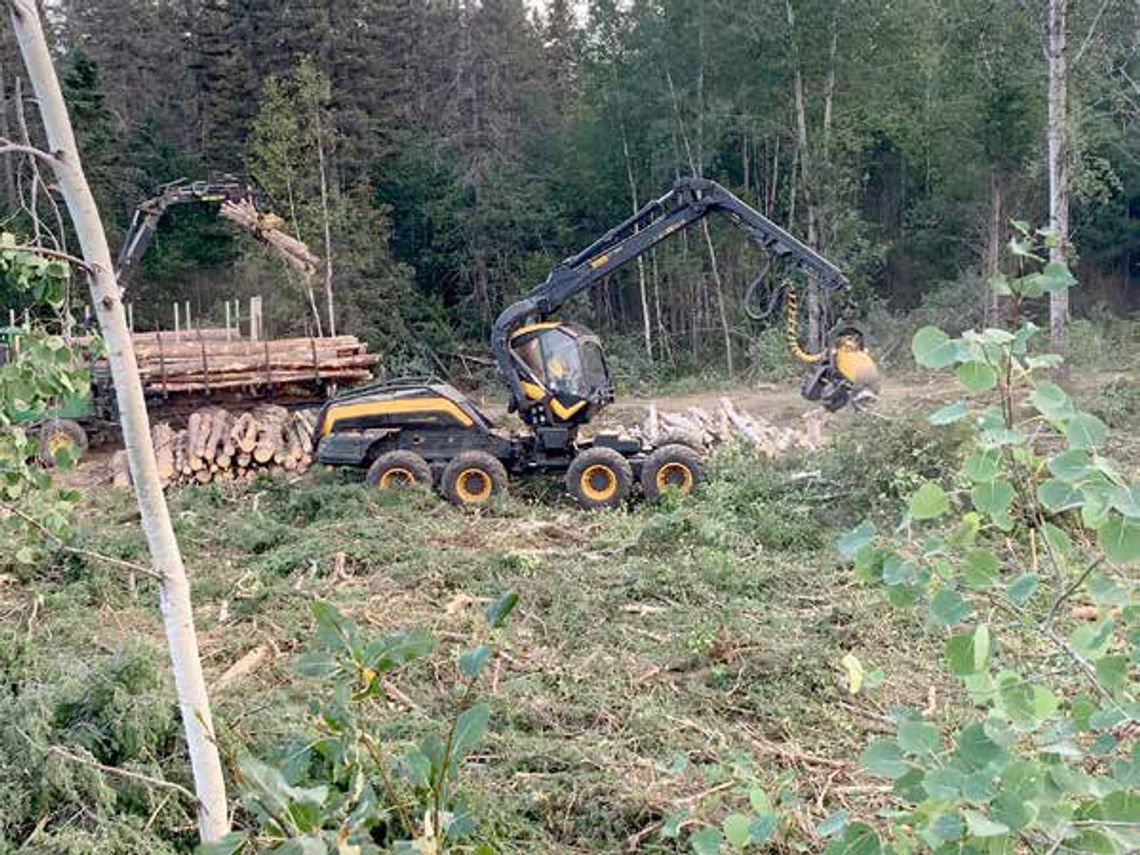 Objection to Forest Service prescribed burn proposal cites need for new road near BWCA