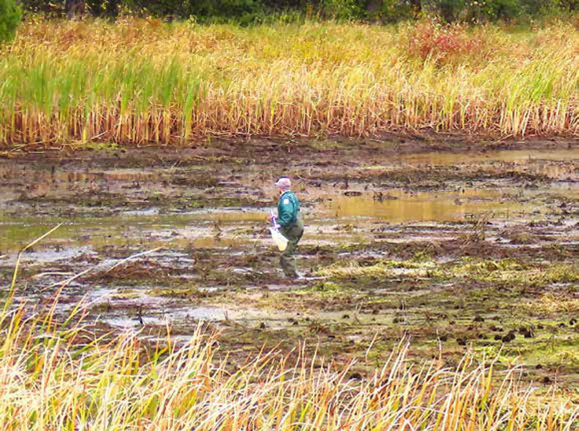 October and Migration Sitings Continue