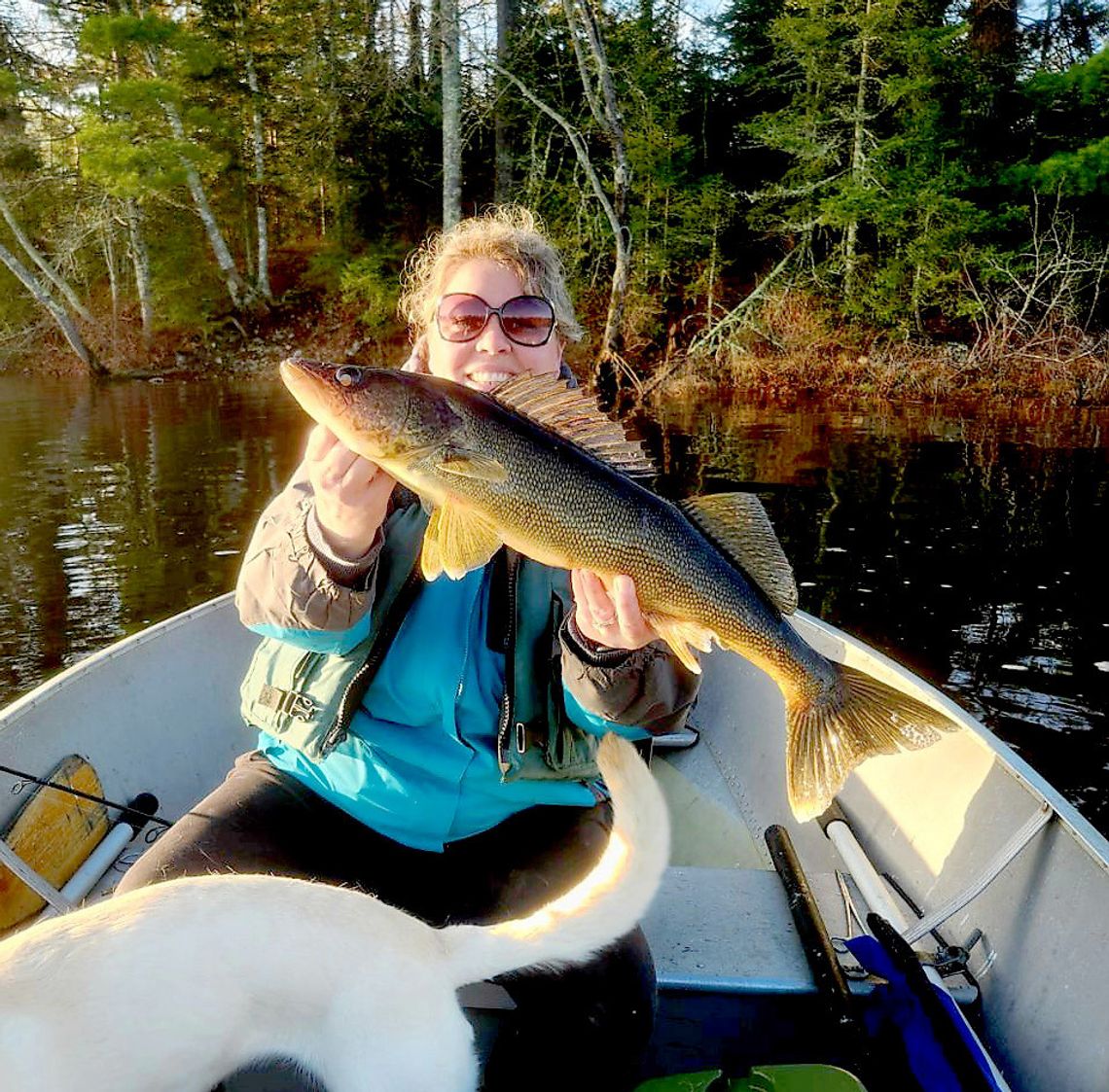 OPENER WALLEYE