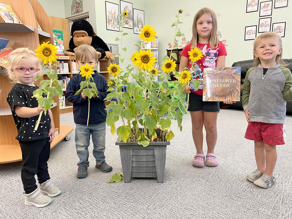 Seeds planted during the Summer Reading Program are now in full bloom Seeds planted during the Summer Reading Program are now in full bloom