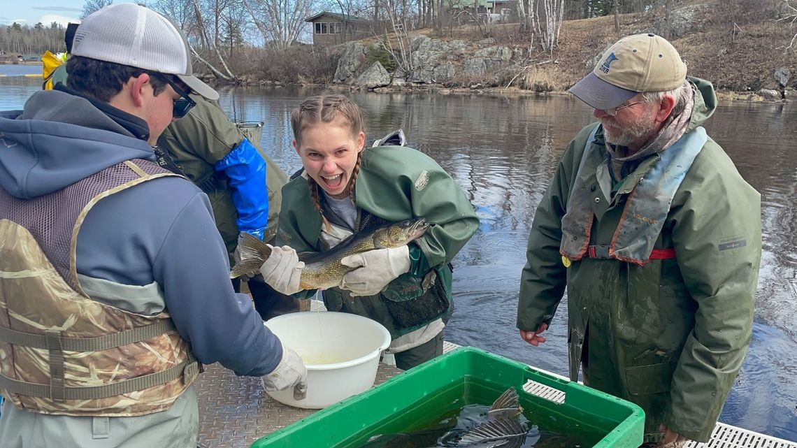Students in Paul Zollinger’s CIS Environmental Science Class got the opportunity to travel to the Pike River Walleye Hatchery to visit the operation and see the process of egg harvesting