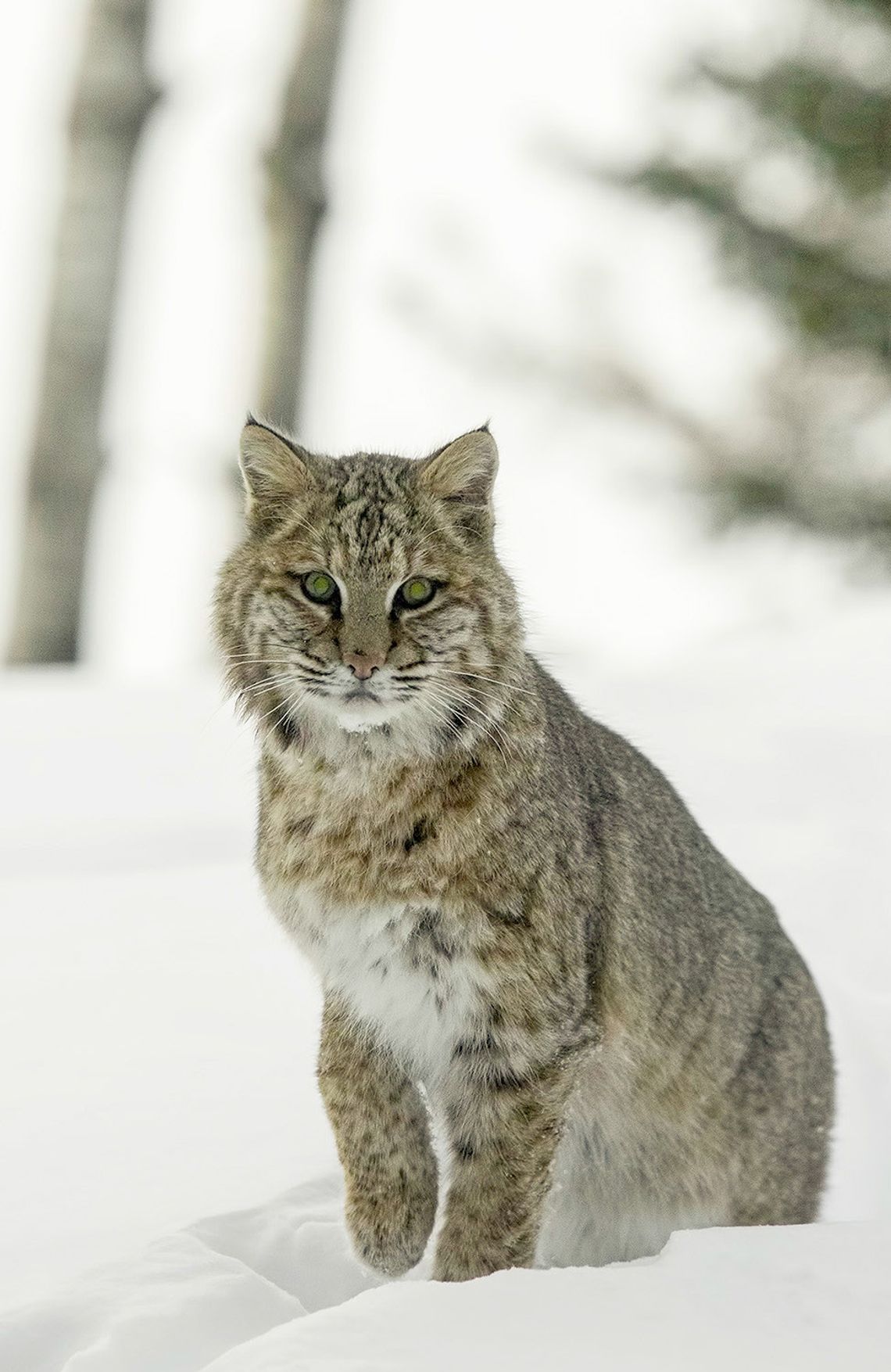 This week’s Minnesota DNR Conservation Officer reports