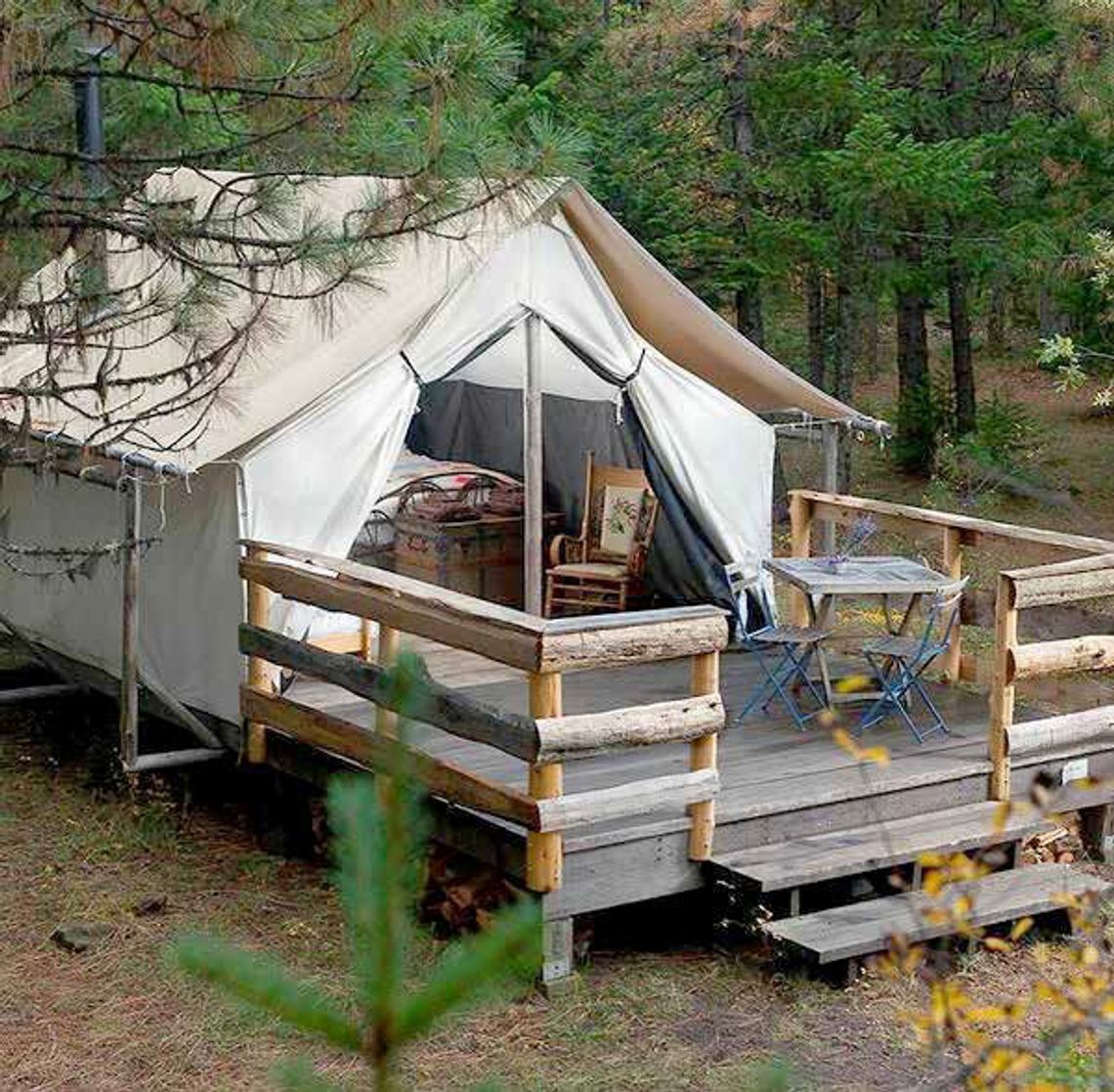 Trout Whisperer - 10,000? Not even close... Trout Whisperer - 10,000? Not even close...