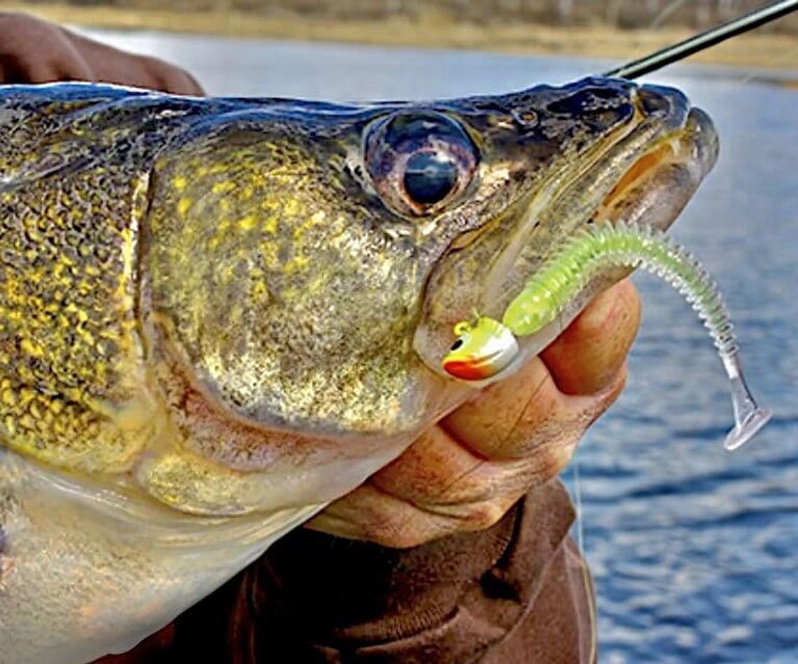 Trout Whisperer Being continually dumb