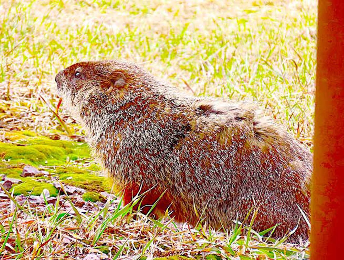 Where and when is spring? Date? Place? Conditions?